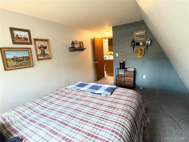206 Empire Circle Leadville, CO 80461
