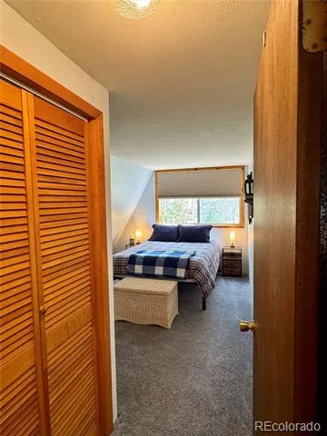 206 Empire Circle Leadville, CO 80461