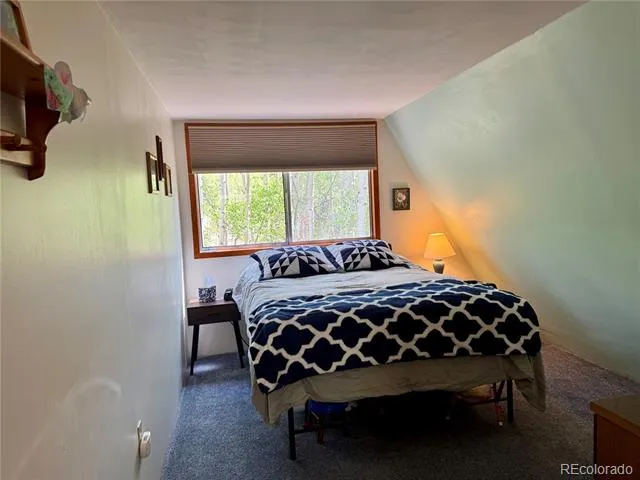 206 Empire Circle Leadville, CO 80461