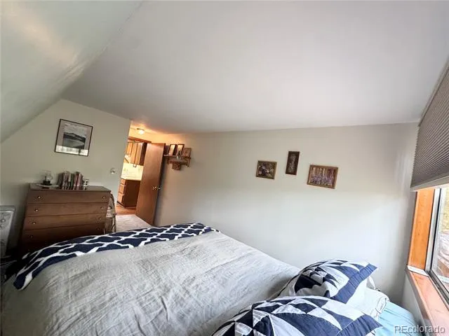 206 Empire Circle Leadville, CO 80461