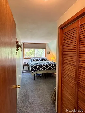 206 Empire Circle Leadville, CO 80461
