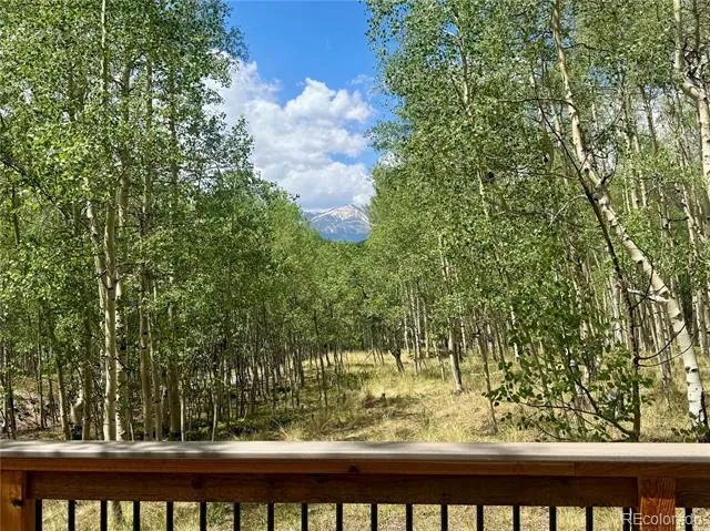 206 Empire Circle Leadville, CO 80461