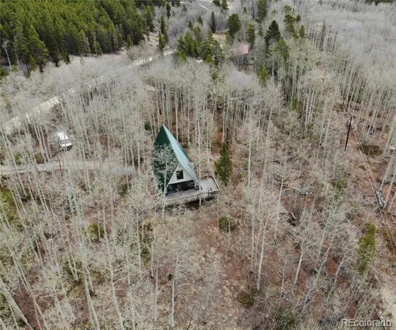 206 Empire Circle Leadville, CO 80461