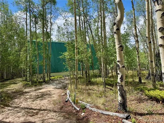 206 Empire Circle Leadville, CO 80461