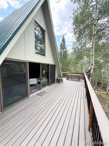 206 Empire Circle Leadville, CO 80461