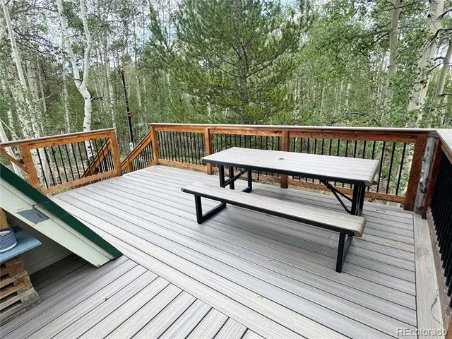 206 Empire Circle Leadville, CO 80461