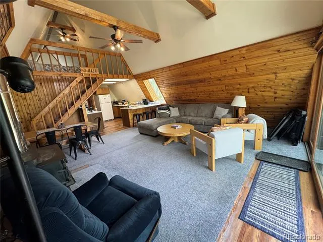 206 Empire Circle Leadville, CO 80461