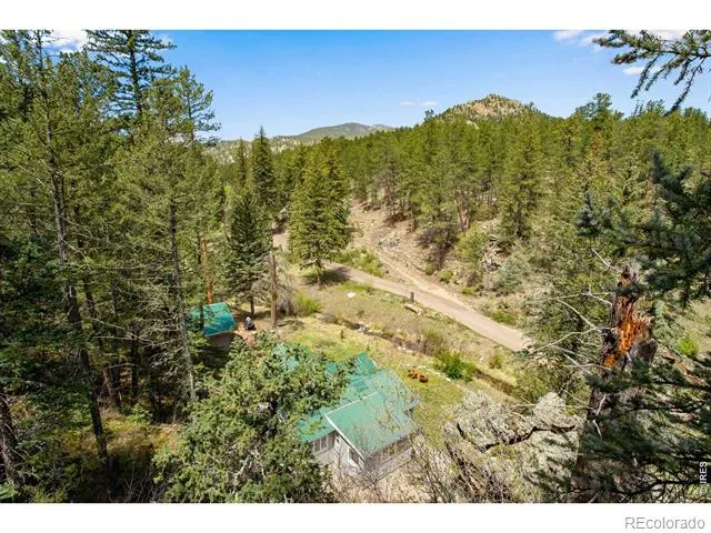 232 Fox Creek Road Glen Haven, CO 80532