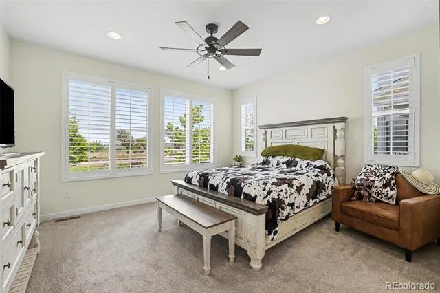 8765 Moonshimmer Trail Littleton, CO 80125