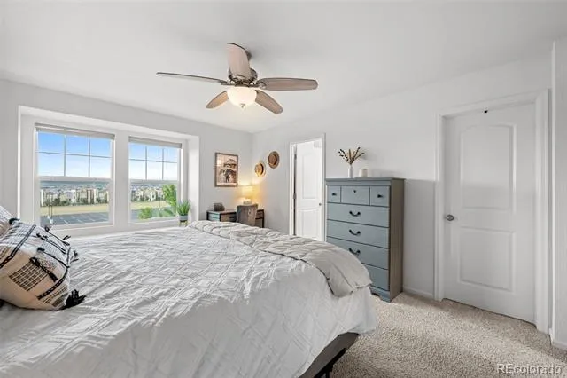 2928 Low Meadow Boulevard Castle Rock, CO 80109