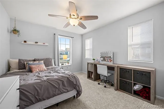 2928 Low Meadow Boulevard Castle Rock, CO 80109