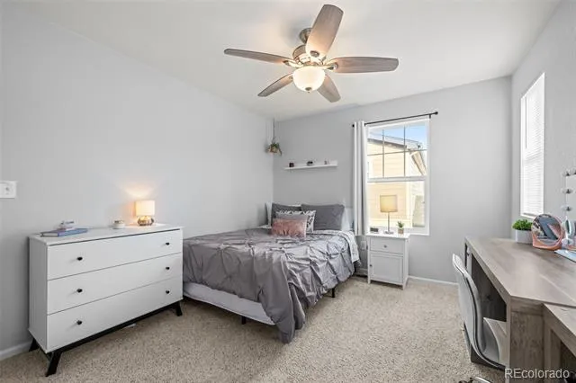 2928 Low Meadow Boulevard Castle Rock, CO 80109