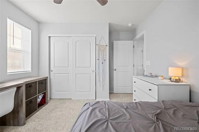2928 Low Meadow Boulevard Castle Rock, CO 80109