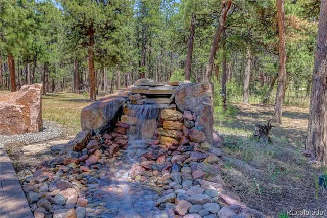 19404 Hilltop Pines Path Monument, CO 80132