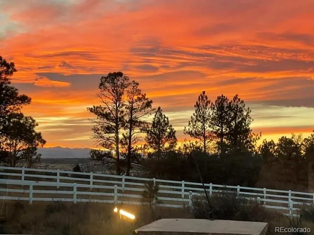 7515 Crooked Oak Court Parker, CO 80134