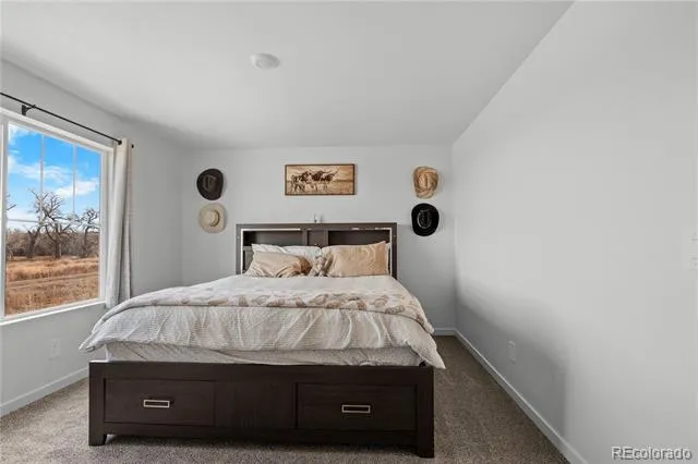 461 Condor Way Johnstown, CO 80534
