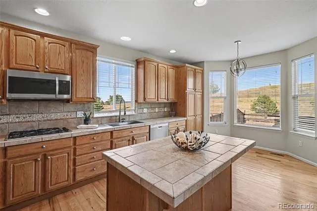 11854 S Breeze Grass Way Parker, CO 80134