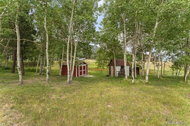 26292 Vosler Street Conifer, CO 80433