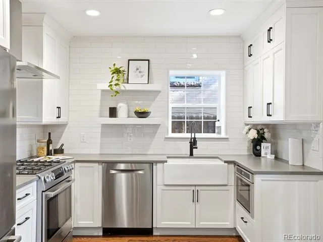 784 Corona Street Denver, CO 80218