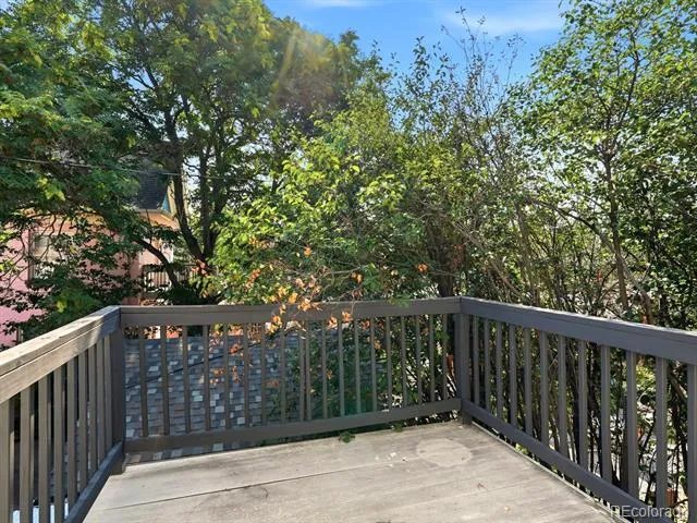784 Corona Street Denver, CO 80218
