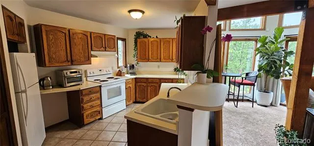 27901 Pine Drive Evergreen, CO 80439