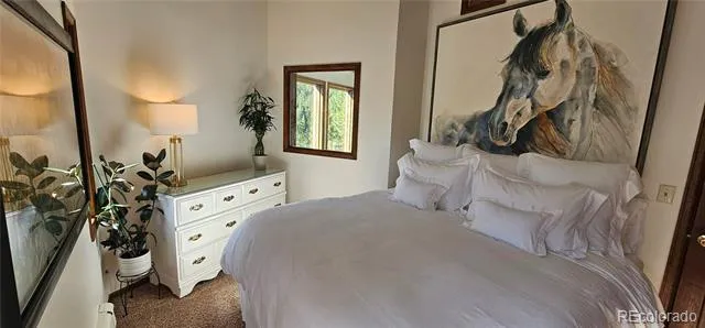 27901 Pine Drive Evergreen, CO 80439