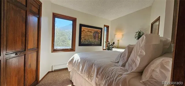 27901 Pine Drive Evergreen, CO 80439