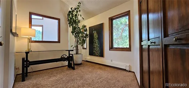 27901 Pine Drive Evergreen, CO 80439