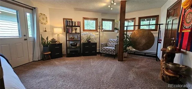27901 Pine Drive Evergreen, CO 80439