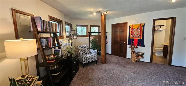 27901 Pine Drive Evergreen, CO 80439