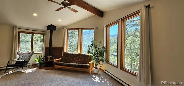27901 Pine Drive Evergreen, CO 80439