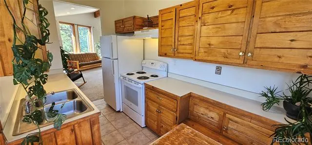 27901 Pine Drive Evergreen, CO 80439