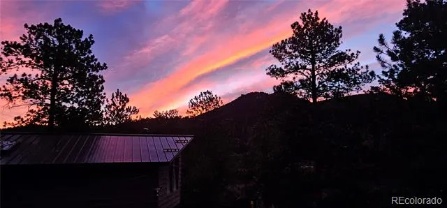 27901 Pine Drive Evergreen, CO 80439