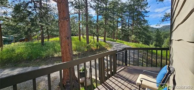 27901 Pine Drive Evergreen, CO 80439