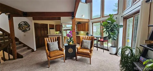 27901 Pine Drive Evergreen, CO 80439