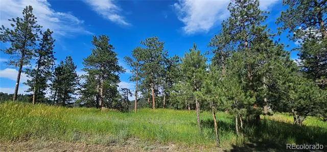 27903 Pine Drive Evergreen, CO 80439