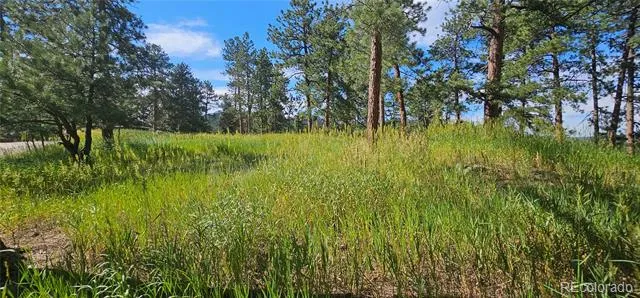 27903 Pine Drive Evergreen, CO 80439