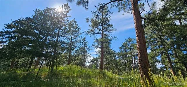 27903 Pine Drive Evergreen, CO 80439