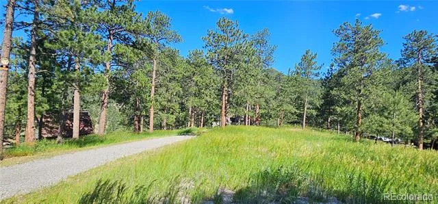 27903 Pine Drive Evergreen, CO 80439