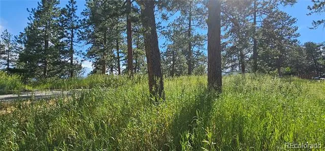 27903 Pine Drive Evergreen, CO 80439