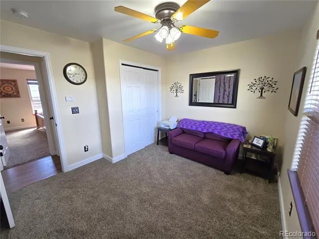 90 Kathy Drive Buena Vista, CO 81211