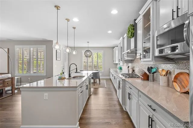4133 Zodiac Place Castle Rock, CO 80109