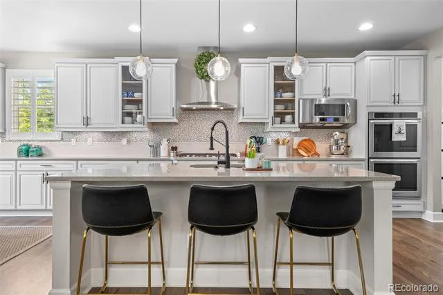 4133 Zodiac Place Castle Rock, CO 80109