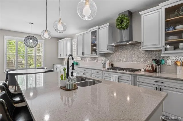4133 Zodiac Place Castle Rock, CO 80109