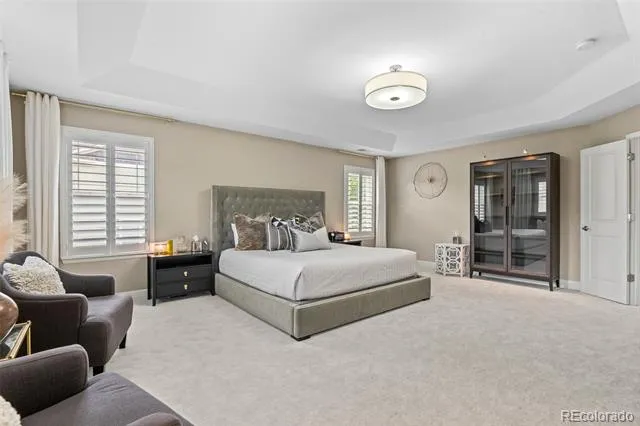 4133 Zodiac Place Castle Rock, CO 80109