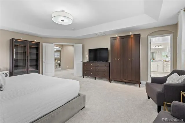 4133 Zodiac Place Castle Rock, CO 80109