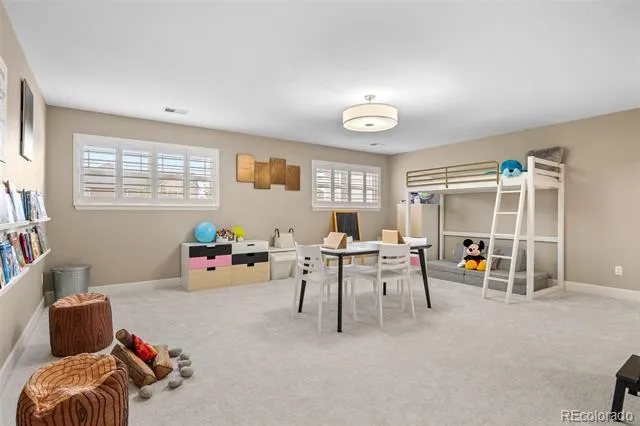 4133 Zodiac Place Castle Rock, CO 80109