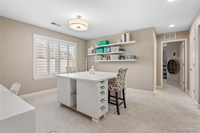 4133 Zodiac Place Castle Rock, CO 80109