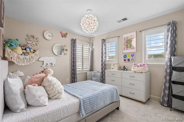 4133 Zodiac Place Castle Rock, CO 80109
