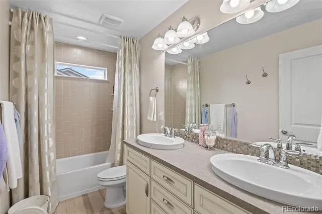 4133 Zodiac Place Castle Rock, CO 80109